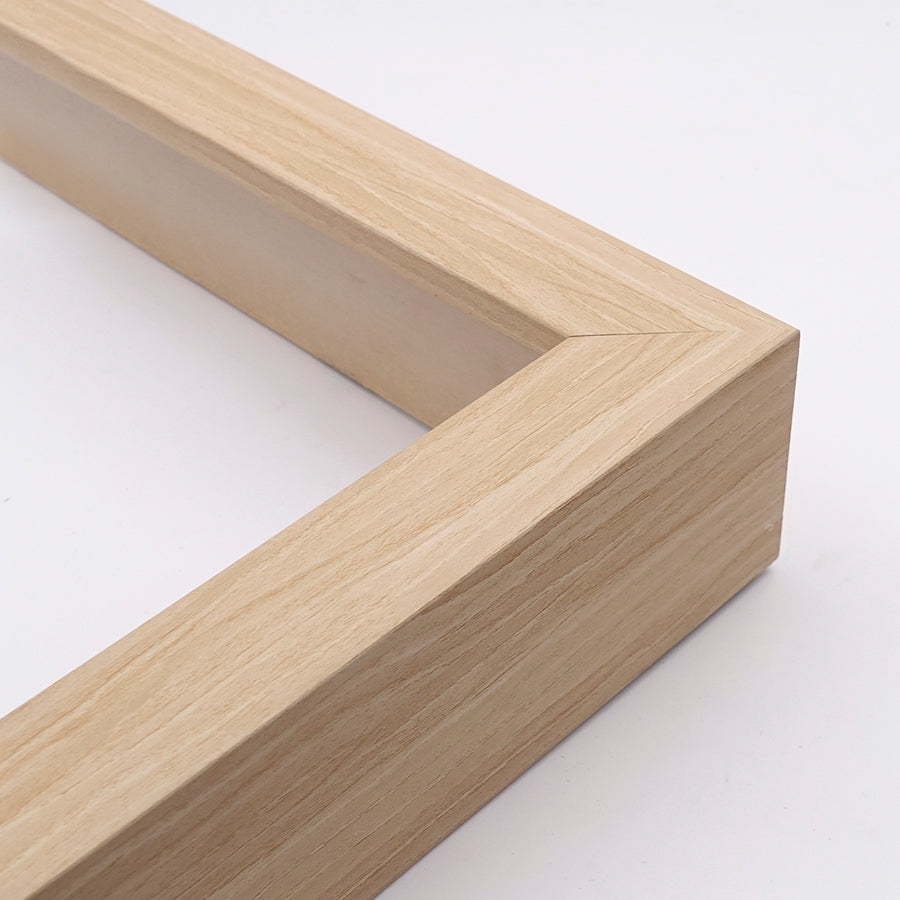 Plains Bison Framed Print