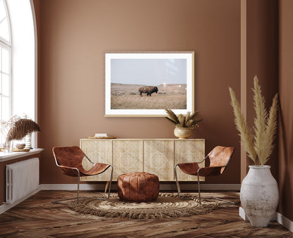 Plains Bison Framed Print